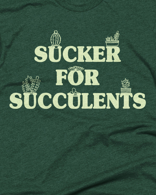 succers for succulents sucker for succulents